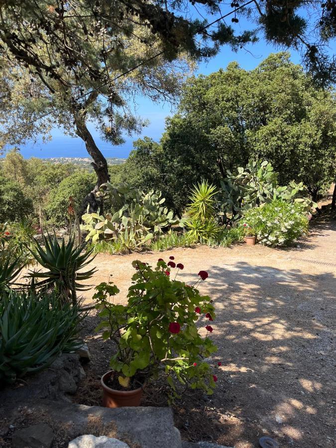 Villa Vue Mer Lumio (Corsica) Exterior foto